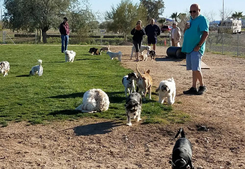 This image is used for link button